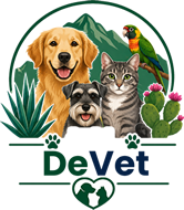 Main Logo
